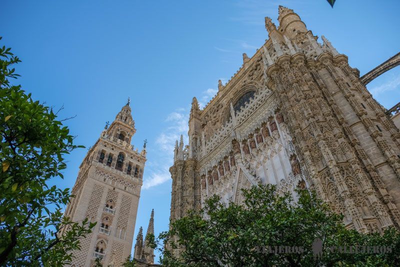 Catedral