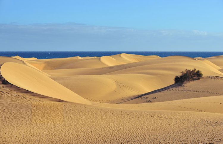 Dunas de Maspalomas que ver en Gran Canaria imprescindible