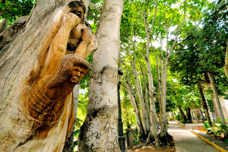Parque Municipal de las Flores