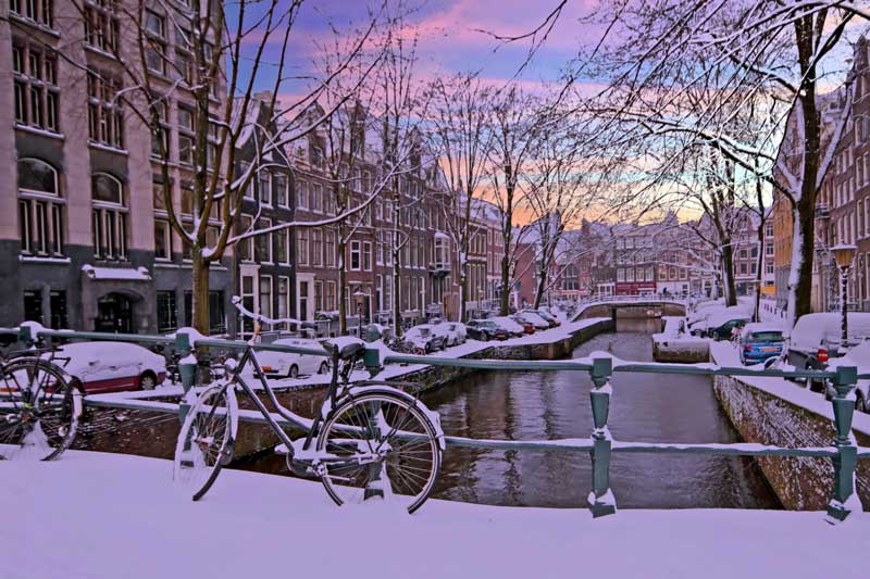 Nieve