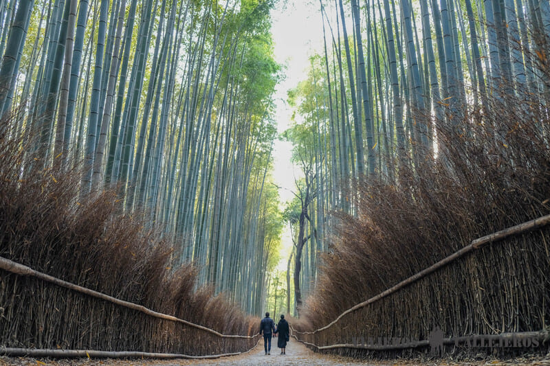 arashiyama kioto