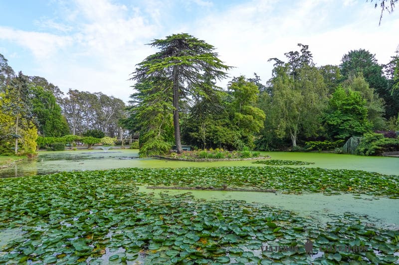 beacon hill park victoria