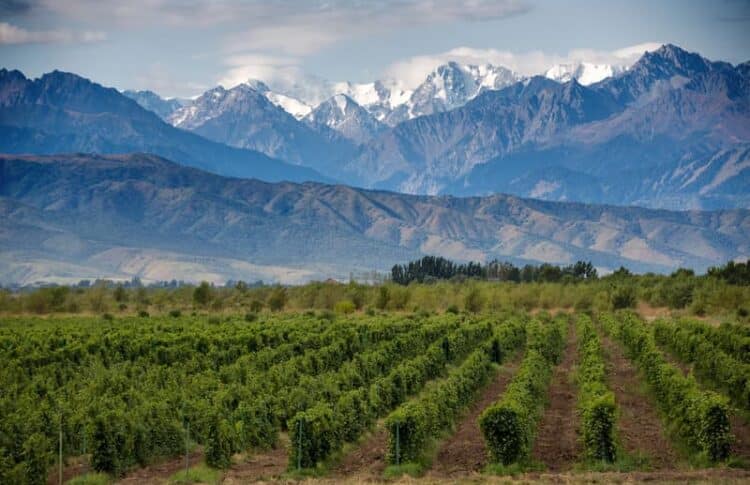 Bodegas restaurantes de Mendoza