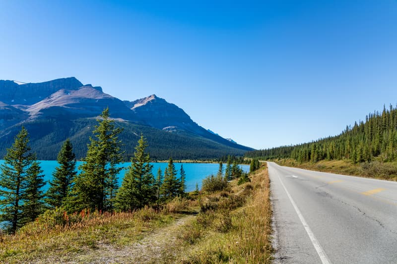 Bow Lake en la Icefields Parkway en los consejos para viajar a Canadá