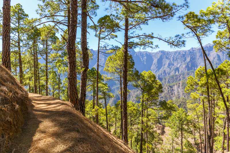 Caldera de Taburiente, ruta por La Palma