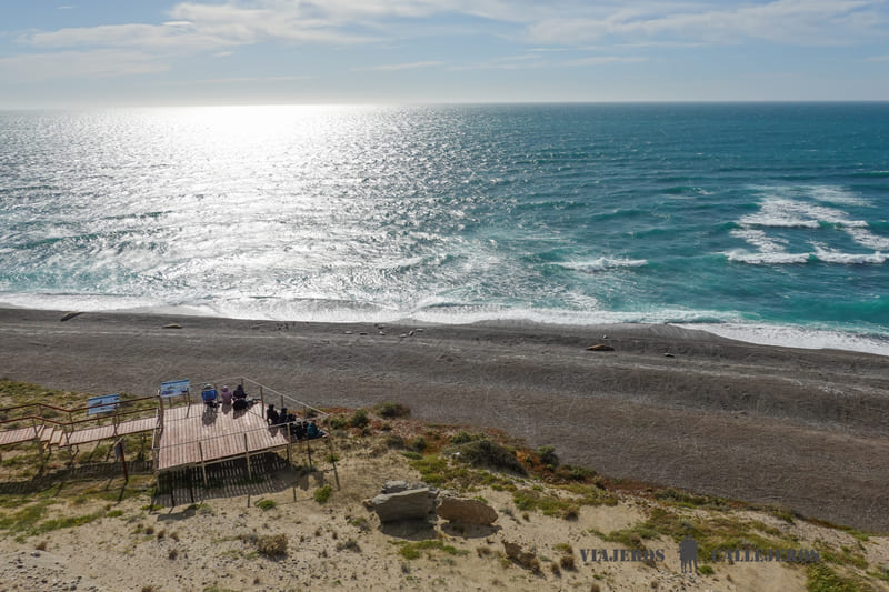 caleta valdes peninsula