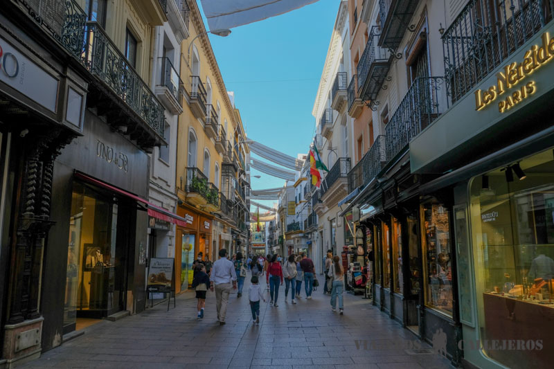 Recorre la calle Sierpes y la calle Tetuán, dos de las arterias principales de Sevilla