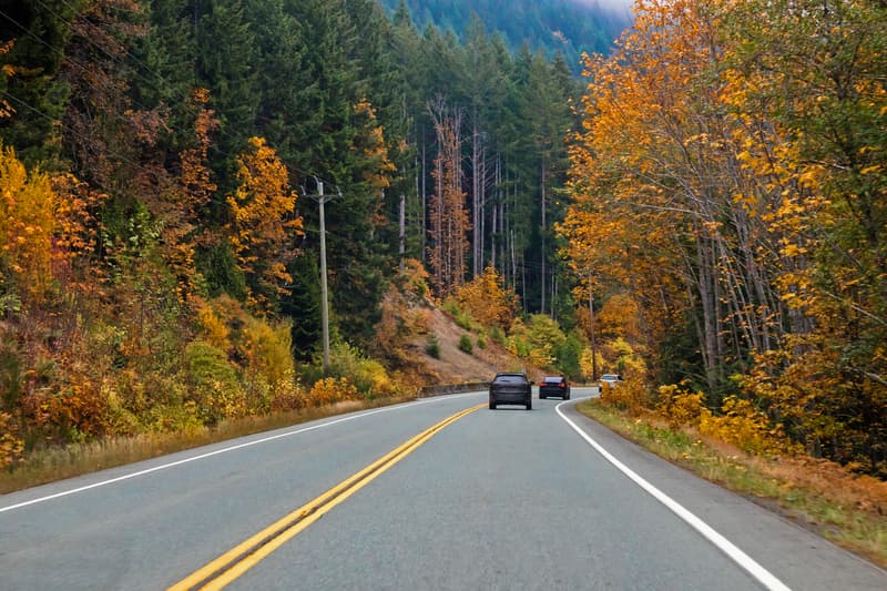 Carretera a Tofino en la Isla de Vancouver