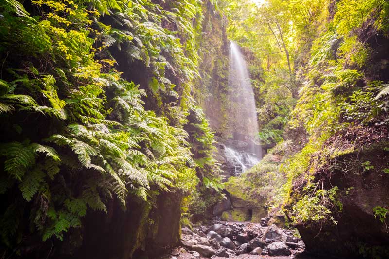 Cascada de Los Tilos, La Palma en una semana