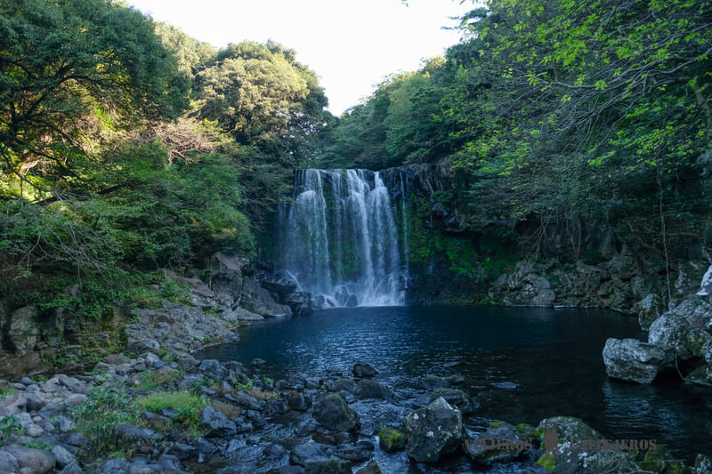 cascadas cheonjeyeon que visitar en jeju