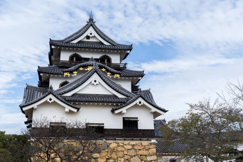 Castillo de Hikone
