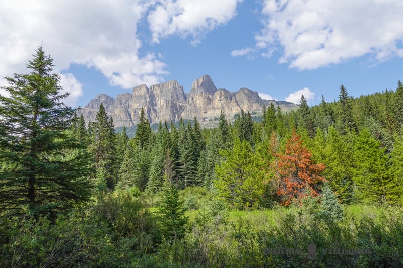 Castle Mountain