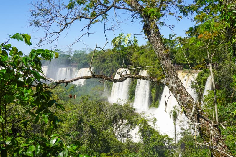 Cataratas de Iguazú