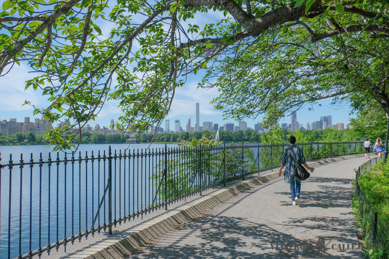 Central Park en la guía de Nueva York