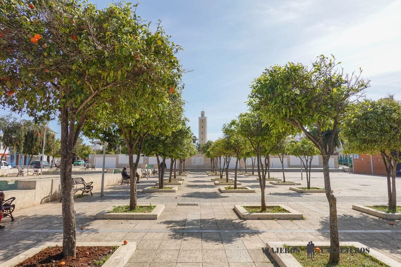 ciudad moderna asilah