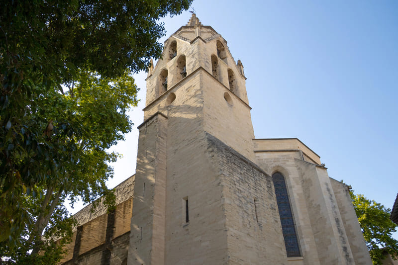 colegiata saint didier
