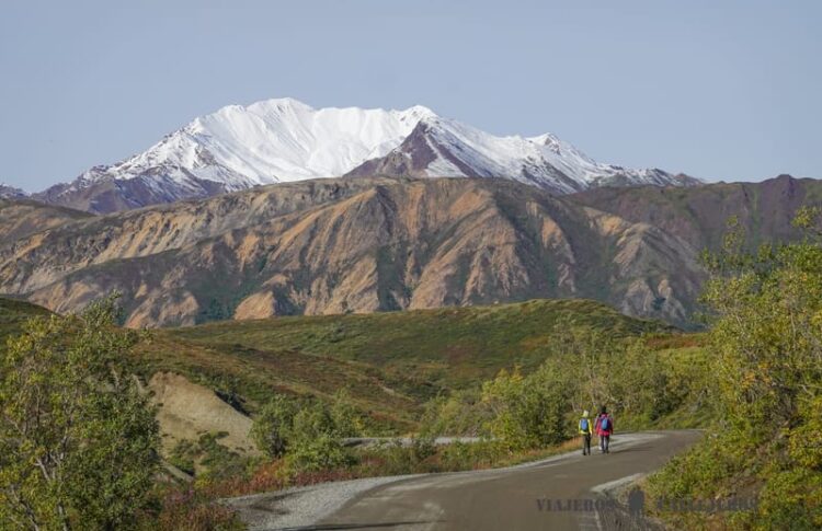 Cómo visitar el Parque Nacional Denali en Alaska