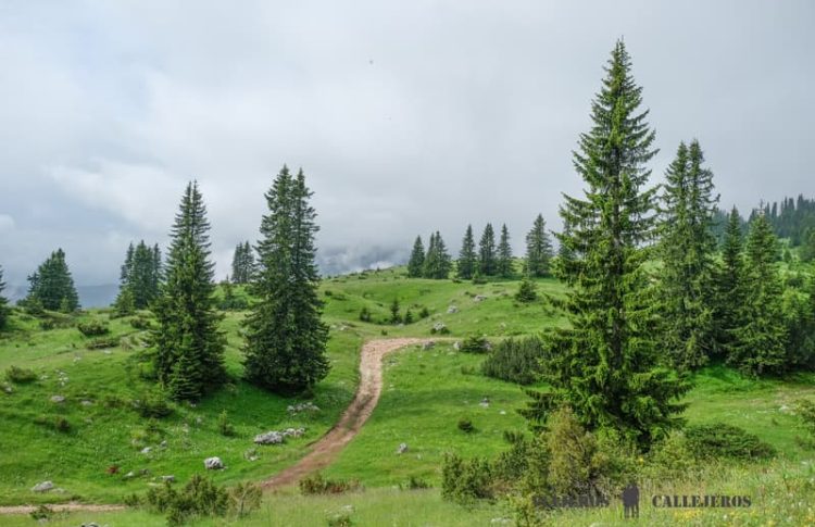 Cómo visitar el Parque Nacional Durmitor en Montenegro