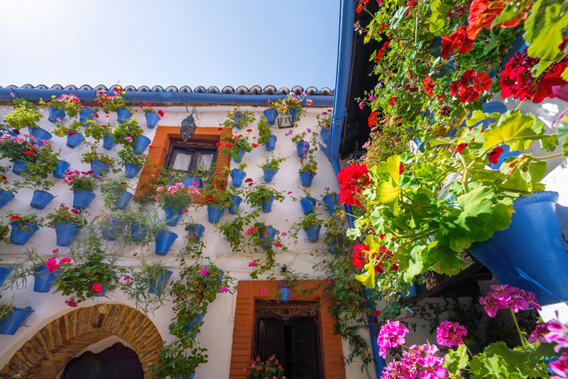 Patios de Córdoba