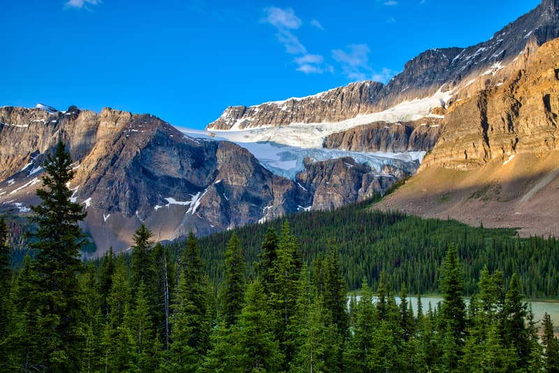 Crowfoot Glacier