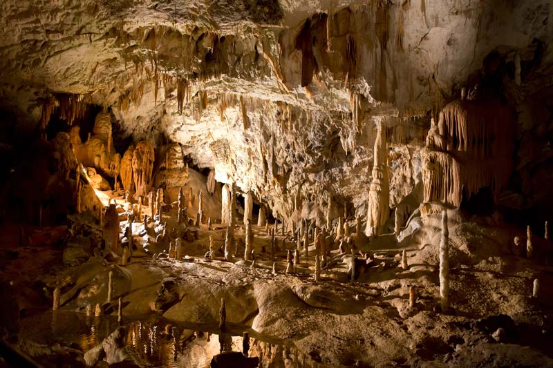 Cueva de Postojna