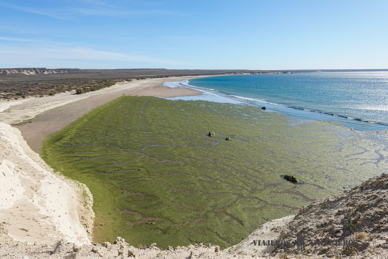 El Doradillo que hacer en puerto madryn