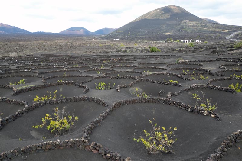 Excursiรณn a Lanzarote desde Fuerteventura