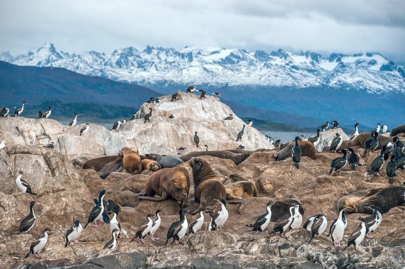 excursiones ushuaia