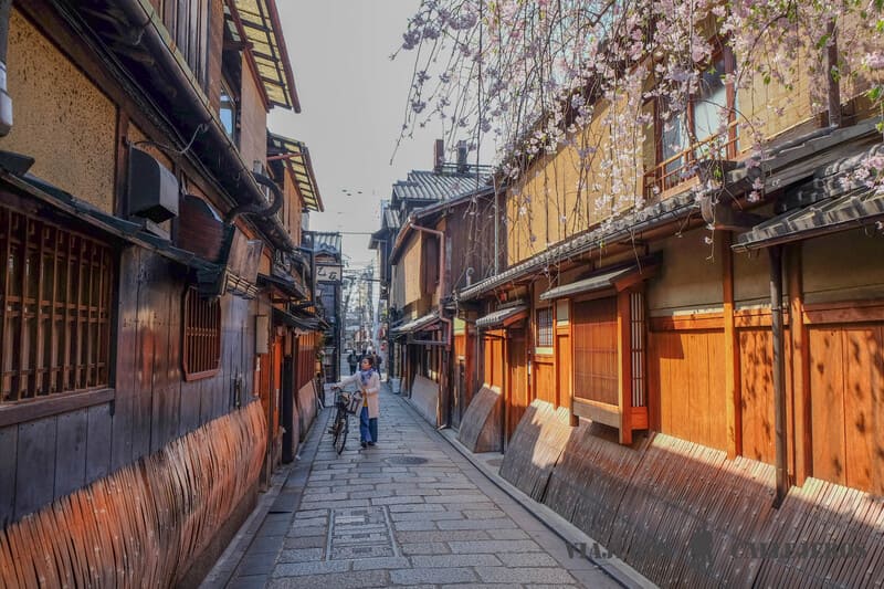 Gion kioto