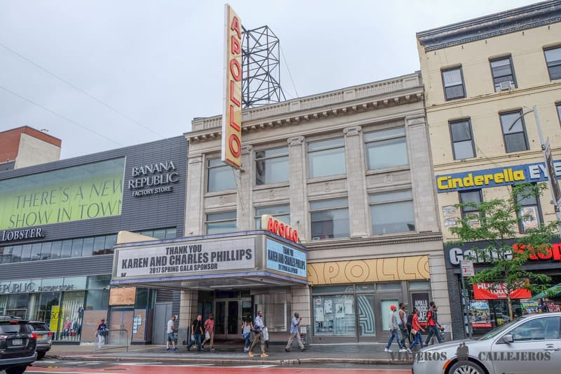 harlem nueva york en 5 días