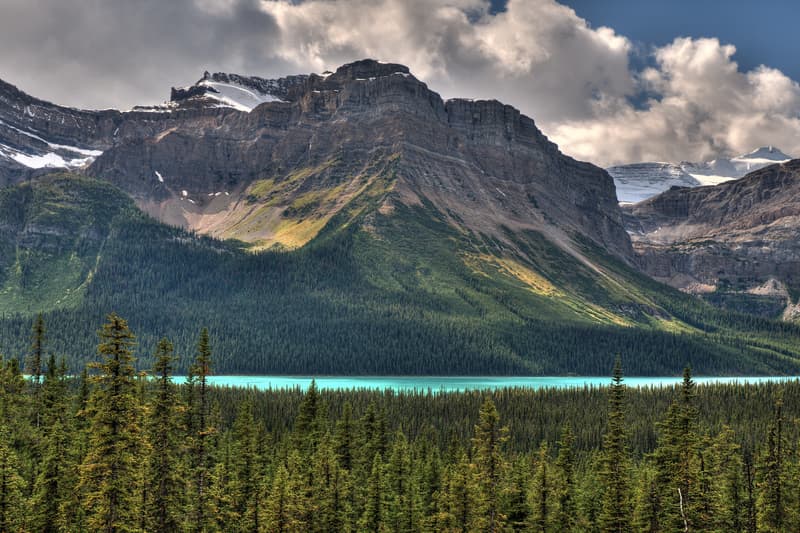 Hector Lake, una de las paradas que puedes hacer en la Icefields Parkway