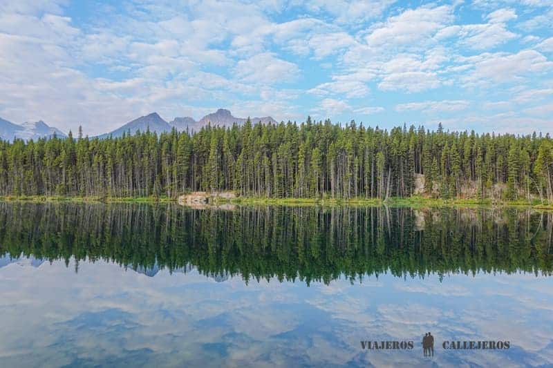 Herbert Lake
