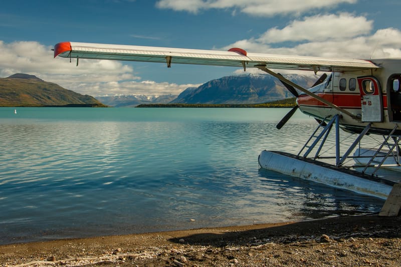 Hidroavión para el avistamiento de osos en Alaska