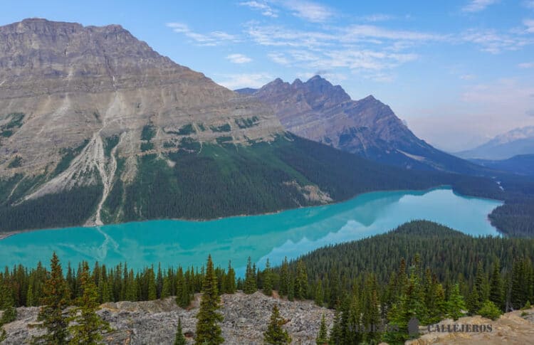 Lago Peyto en los consejos para viajar a Canadá