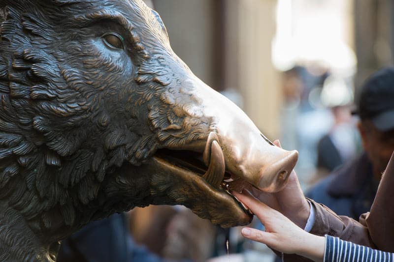 il porcelino florencia en dos dias