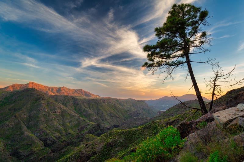 Interior de Gran Canaria