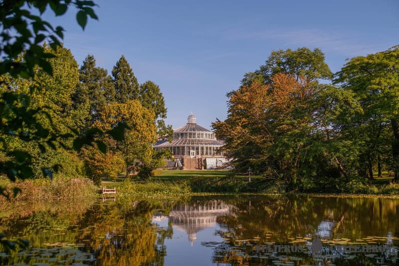 jardin botanico copenhague