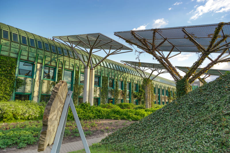 jardin universidad