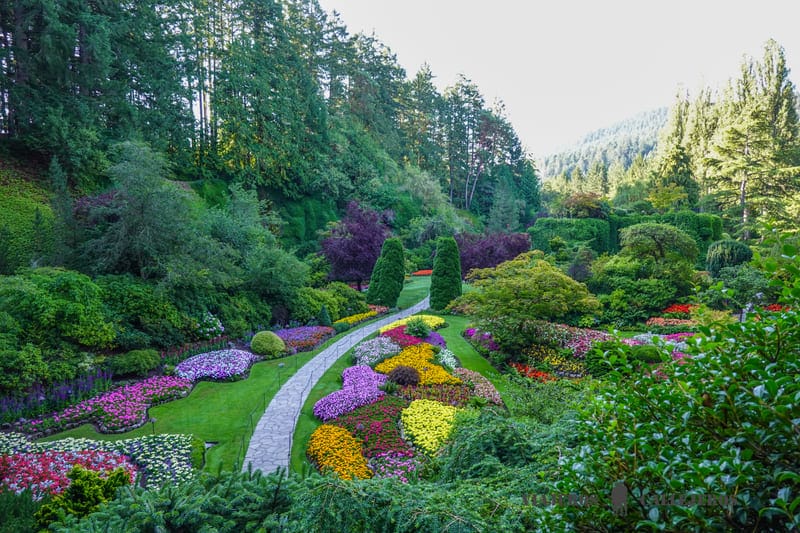 jardines butchard canada
