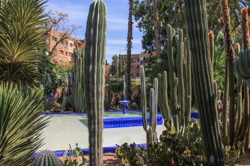 jardines majorelle que hacer en marrakech