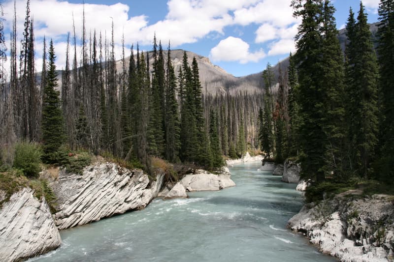 Kootenay National Park en la ruta por las Rocosas en coche
