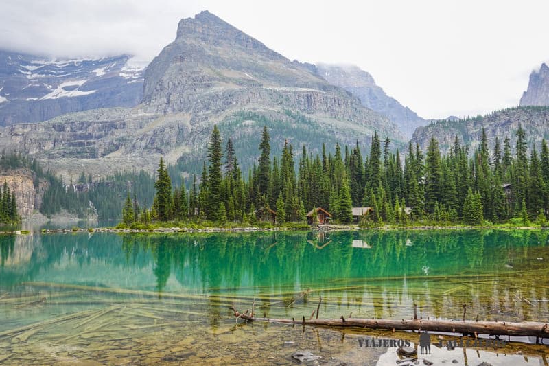 lago ohara yoho