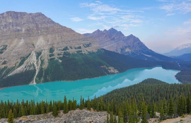 Lago Peyto en la Icefields Parkway en la ruta por las Rocosas canadienses