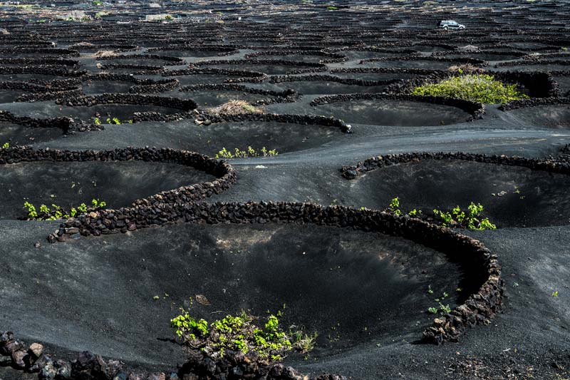 Lanzarote, mejor isla canaria