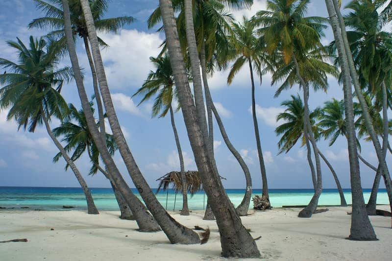 Maafushi en la guía de Maldivas