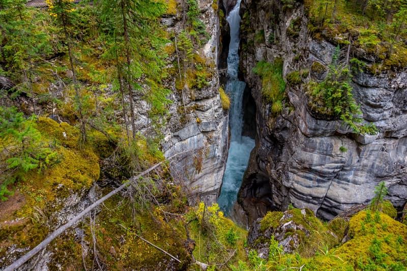Maligne Canyon