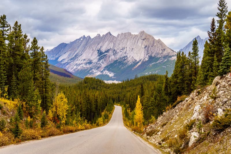 Maligne Lake Road