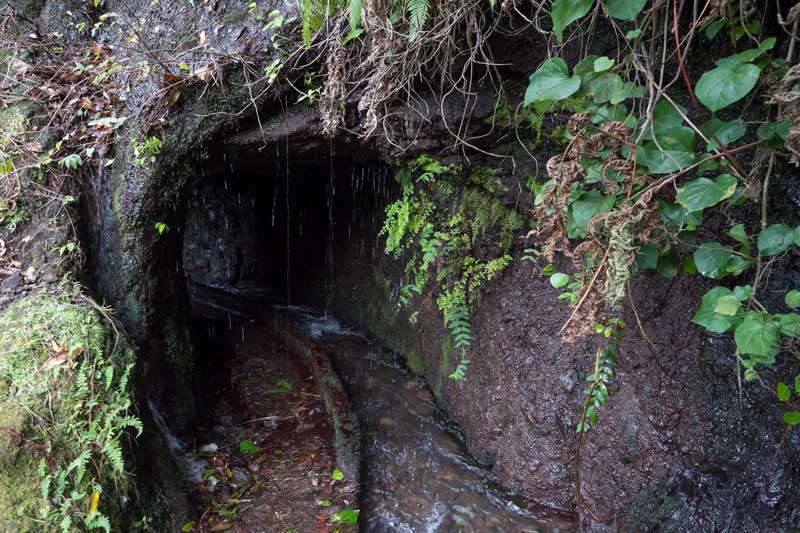 Marcos y Cordero, rutas de senderismo en La Palma