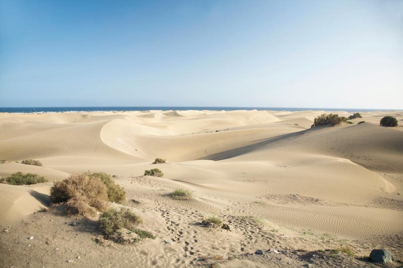 Dunas de Maspalomas, ruta de Gran Canaria