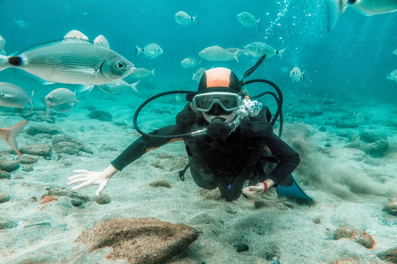 excursión buceo Tenerife